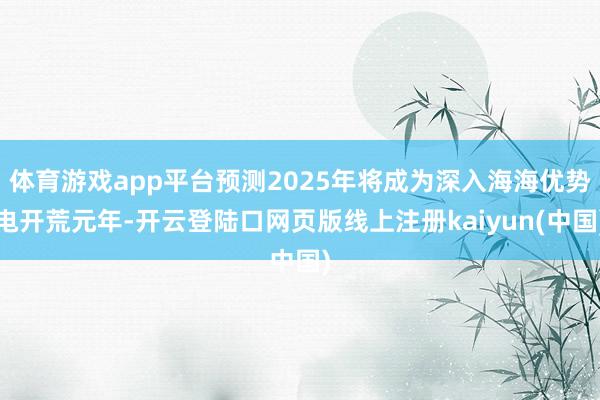 体育游戏app平台预测2025年将成为深入海海优势电开荒元年-开云登陆口网页版线上注册kaiyun(中国)
